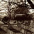 cemetery