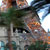 paris las vegas